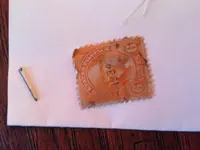 image.webp