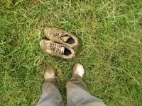 DSCN0481.webp