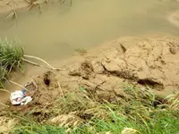 DSCN0482.webp