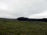 DSCN0483.webp