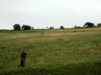 DSCN0484.webp