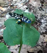 DSCN0497.webp