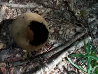 DSCN0505.webp
