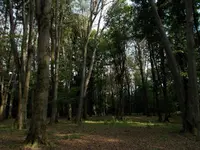 DSCN0506.webp