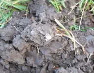 100_1145.webp