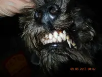 DSCN1057_zps6cfccd8c.webp
