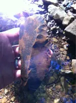 image-465602971.webp