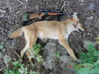 DSCN1024_zps5a3a23b3.webp