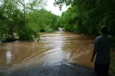 flood2.webp