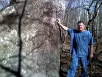 Me and Tree s 1107101150a.webp