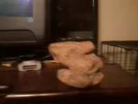 0905132252-00.webp