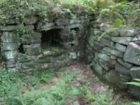 cady cellar 034.webp