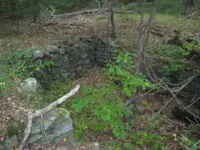 cady cellar 043.webp