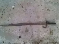 1378855568583.webp