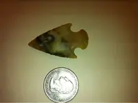image-1902177325.webp