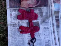 IMG_20130928_152111a.webp