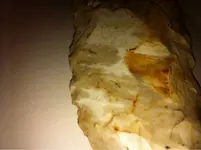 image-3329360862.webp
