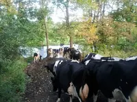 20130922_075551.webp