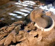 Venezuelan-oil-companies-uncover-fossils-300x250.webp