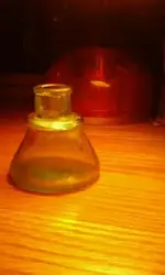 Photo0678.webp