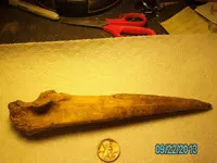 jack 028.webp