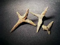 caltrop.webp