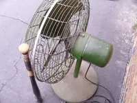 Fan (2).webp
