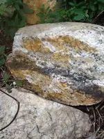 image-2620813824.webp