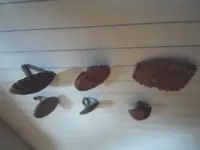 2013-05-20 09.31.20.webp