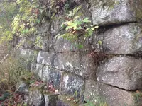 image-2578826712.webp