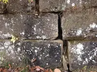 image-3302887862.webp