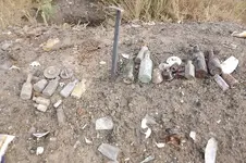 DSCF5941.webp