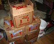 tomatoes.webp
