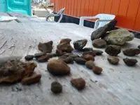 2013-10-13 12.00.02.webp