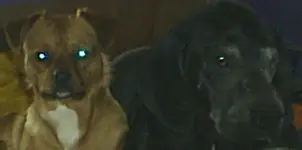 Rory and Steffon.webp Rory and Steffon.webp