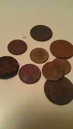 IMAG4035.webp