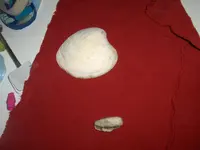 HPIM6236.webp