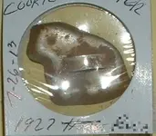 DSCF0001.webp