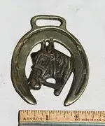 horse-2.webp