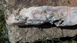 Yellow clay 003.webp