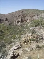 Caves or cutouts.webp