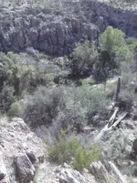 Creek Below.webp