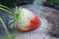 E59IXLn.webp