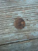 image-4291617105.webp