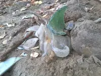 131009_002_001.webp