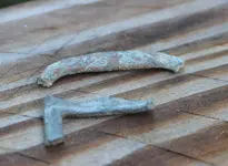 Sept 2013 Finds-4.webp