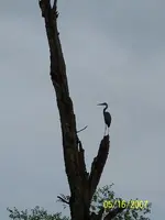 image-2249894933.webp