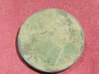 DSCN5622.webp