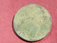 DSCN5623.webp