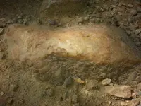 20121028_101357 (Medium).webp